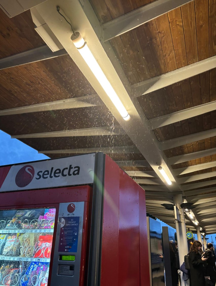 Grosse fuite de toit à la gare de Vernouillet-Verneuil